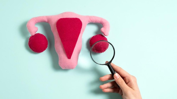 5 Mitos Seputar Menopause Menurut Para Ahli