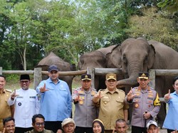 Anggota DPR RI Rajiv Minta Pemerintah Anggarkan Vaksin untuk Anak Gajah