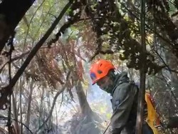 Taruhan Nyawa Relawan Padamkan Api di Kawah Wadon Gunung Gede