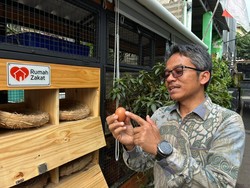 Bukan Cuma Lele di Selokan, RT Ini Punya Inovasi Lain yang Go International