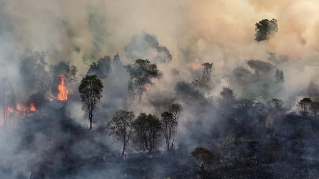 Upaya Pemadaman Kebakaran Lahan di Kertapati Palembang
