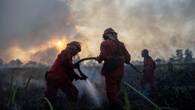 Upaya Pemadaman Kebakaran Lahan di Kertapati Palembang