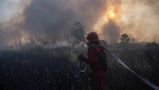 Upaya Pemadaman Kebakaran Lahan di Kertapati Palembang