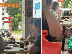Viral! Anjing Dibawa ke Kafe, Duduk di Bawah Tanda Dilarang Bawa Hewan