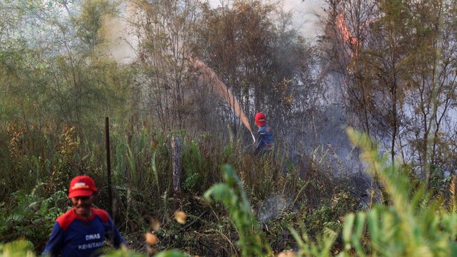 Forest and Land Fire Control Brigade workers spray water to extinguish a fire in an area affected by wildfire in Pulang Pisau, Central Kalimantan province, Indonesia, August 12, 2026. REUTERS/Ajeng Dinar Ulfiana
