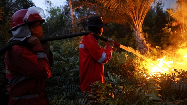 Forest and Land Fire Control Brigade workers spray water to extinguish a fire in an area affected by wildfire in Pulang Pisau, Central Kalimantan province, Indonesia, August 12, 2026. REUTERS/Ajeng Dinar Ulfiana