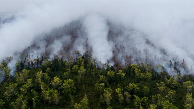 A drone view shows smoke rising from wildfire burning in Pulang Pisau, Central Kalimantan province, Indonesia, August 12, 2026. REUTERS/Ajeng Dinar Ulfiana
