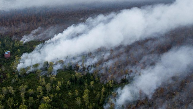 A drone view shows smoke rising from wildfire burning in Pulang Pisau, Central Kalimantan province, Indonesia, August 12, 2026. REUTERS/Ajeng Dinar Ulfiana
