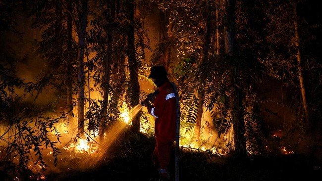 A Forest and Land Fire Control Brigade worker sprays water to extinguish a fire in an area affected by wildfire in Pulang Pisau, Central Kalimantan province, Indonesia, August 12, 2026. REUTERS/Ajeng Dinar Ulfiana