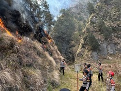 Brimob Diterjunkan Padamkan Karhutla di Kawasan Bromo