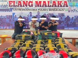 Polsek Bantan-Polres Bengkalis Bongkar Peredaran 29 Kg Sabu-122 Ribu Ekstasi