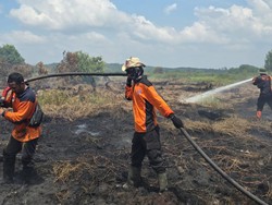 Karhutla di Riau Capai 15 Ribu Ha, Inhu-Bengkalis Jadi Perhatian Serius