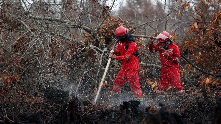 Kebakaran rimba dan lahan di Desa Tumbang Nusa, Pulang Pisau, Provinsi Kalimantan Tengah, Kamis (13/8/2026). (REUTERS/Ajeng Dinar Ulfiana)