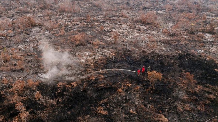 Kebakaran rimba dan lahan di Desa Tumbang Nusa, Pulang Pisau, Provinsi Kalimantan Tengah, Kamis (13/8/2026). (REUTERS/Ajeng Dinar Ulfiana)