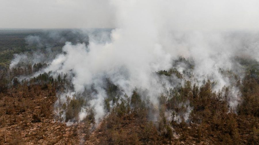 Kebakaran rimba dan lahan di Desa Tumbang Nusa, Pulang Pisau, Provinsi Kalimantan Tengah, Kamis (13/8/2026). (REUTERS/Ajeng Dinar Ulfiana)