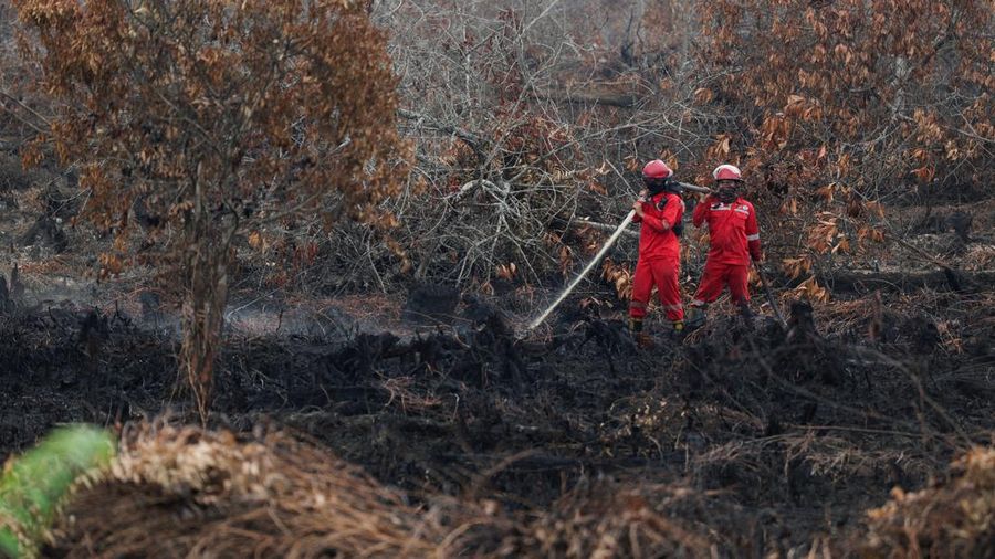 Kebakaran rimba dan lahan di Desa Tumbang Nusa, Pulang Pisau, Provinsi Kalimantan Tengah, Kamis (13/8/2026). (REUTERS/Ajeng Dinar Ulfiana)