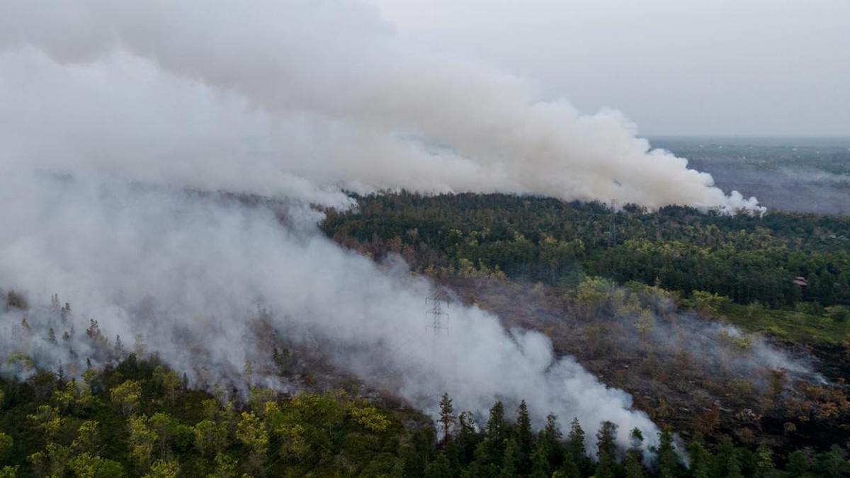 Penyebab Kalimantan Sering Kebakaran Hutan Parah, Ini Kata Peneliti