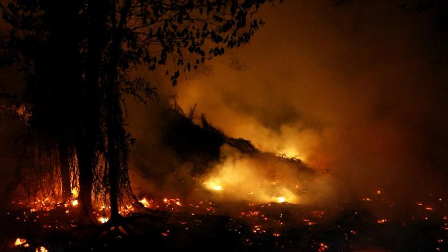 Kebakaran lahan di Pulang Pisau, Provinsi Kalimantan Tengah, Rabu (12/8/2028). (REUTERS/Ajeng Dinar Ulfiana)