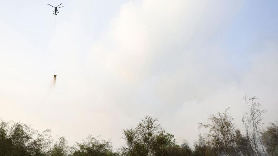 Kebakaran lahan di Pulang Pisau, Provinsi Kalimantan Tengah, Rabu (12/8/2028). (REUTERS/Ajeng Dinar Ulfiana)