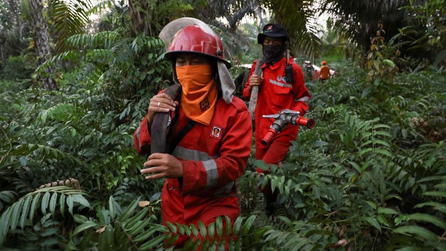 Kebakaran lahan di Pulang Pisau, Provinsi Kalimantan Tengah, Rabu (12/8/2028). (REUTERS/Ajeng Dinar Ulfiana)