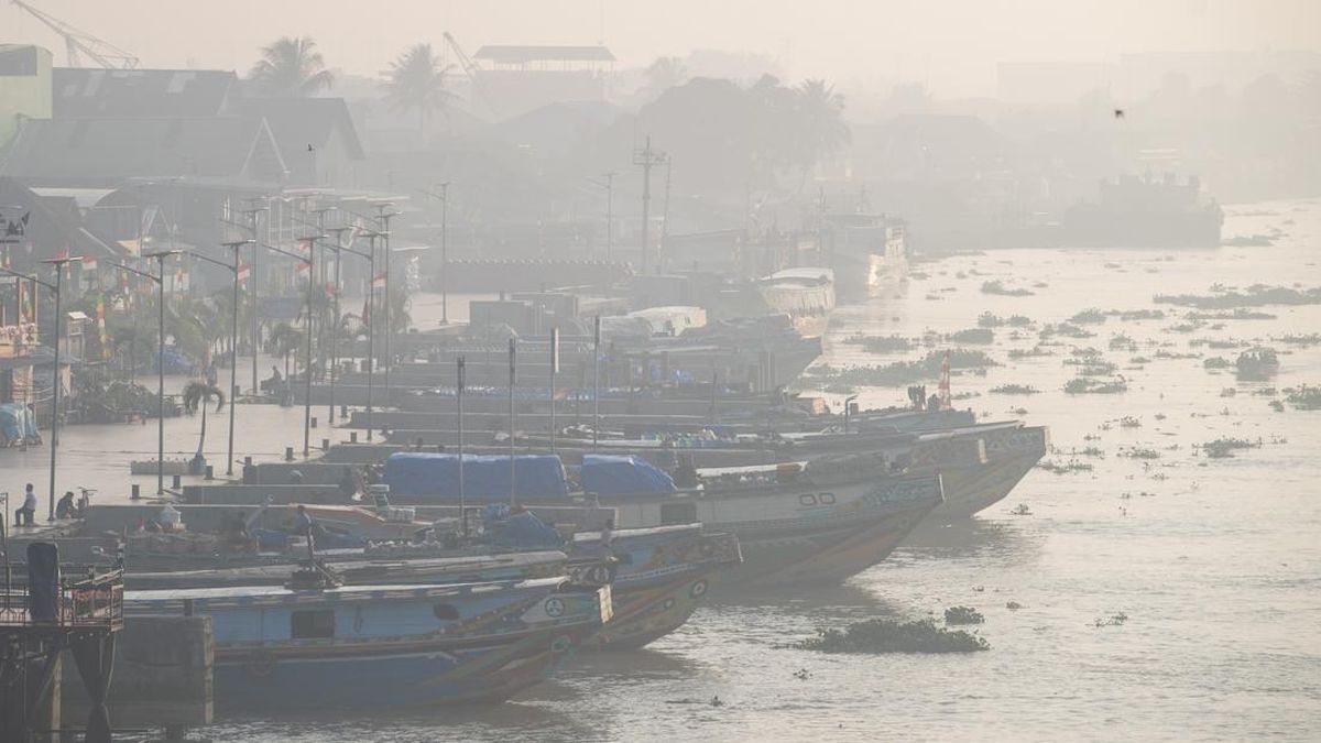 Total Sudah 115 Hektare Karhutla di Muara Medak Muba Sumsel