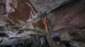 Lukisan Gua Berusia 67 Ribu Tahun di Sulawesi Terancam Kebakaran Hutan - Infolitik