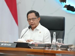 Kemendagri Minta Pemda Sukseskan Program MBG untuk Tekan Stunting
