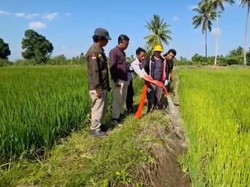 Gubernur Sulsel Selamatkan Lahan Pertanian di 24 Wilayah Lewat Pompanisasi