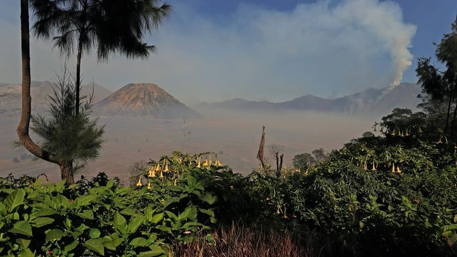 Penanganan karhutla TNBTS diperkuat dengan 540 personel dan pemadaman darat-udara. Total area terdampak mencapai sekitar 921 hektare.