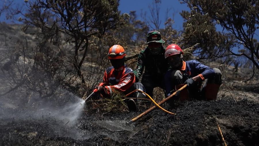 Penanganan karhutla TNBTS diperkuat dengan 540 personel dan pemadaman darat-udara. Total area terdampak mencapai sekitar 921 hektare.