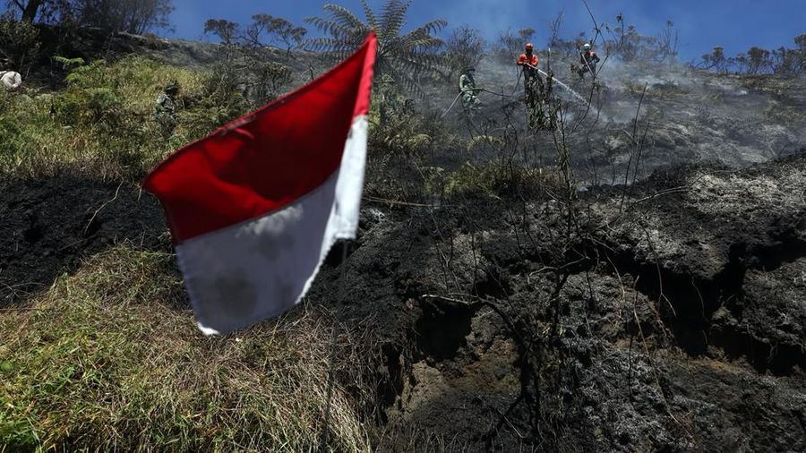 Penanganan karhutla TNBTS diperkuat dengan 540 personel dan pemadaman darat-udara. Total area terdampak mencapai sekitar 921 hektare.