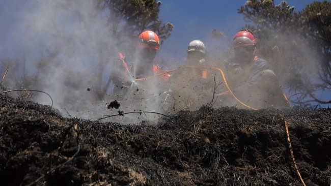 921 Ha Gunung Bromo Hangus, Potret Petugas Berjibaku Dikepung Api-Asap