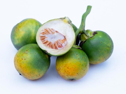 Cara Meracik Buah Pinang Muda, Diklaim Dukung Vitalitas Pria & Pemulihan Rahim setelah Melahirkan