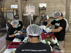 Warga Klungkung Antusias Ikuti Vaksinasi Hewan Penular Rabies Gratis