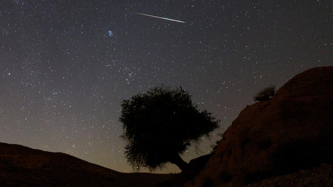 A Perseid meteor streaks across the night sky in the Negev desert in southern Israel, August 13, 2026. REUTERS/Amir Cohen