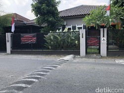 Pemilik John Wick di Bantul Ungkap 2 Anjingnya Mati Diracun