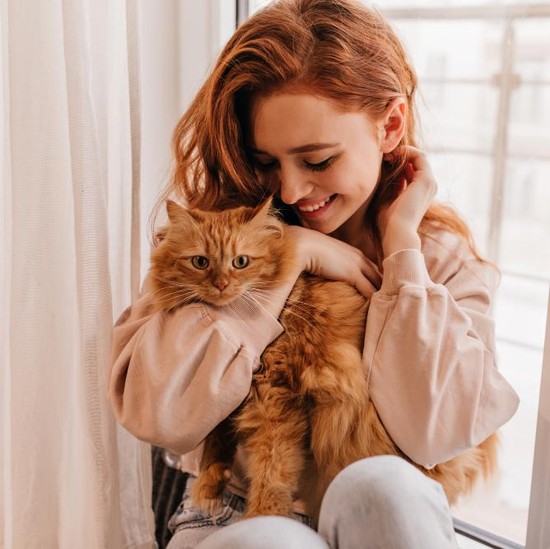 Kenapa Kucing Suka Mengikuti Pemiliknya? Ini 6 Alasannya