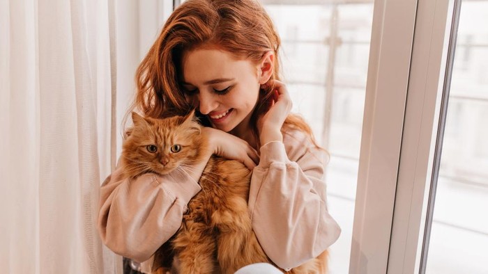 Kenapa Kucing Suka Mengikuti Pemiliknya? Ini 6 Alasannya