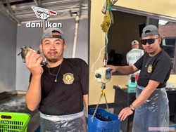 Terungkap! Ini Sosok Dani Ikan yang Bikin Netizen Penasaran