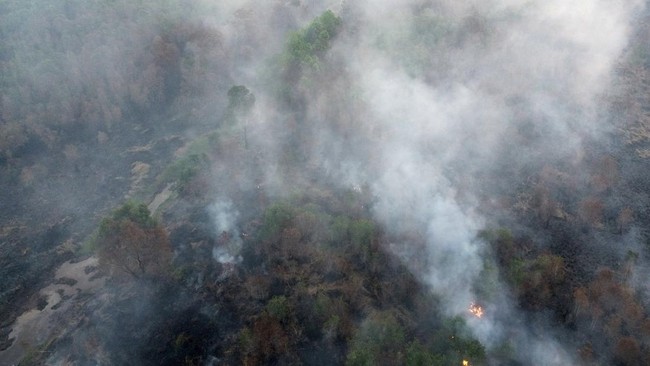 A drone view shows smoke rising from an area burnt due to a wildfire in Ogan Ilir regency, South Sumatra province, Indonesia, August 13, 2026. REUTERS/Abriansyah Liberto