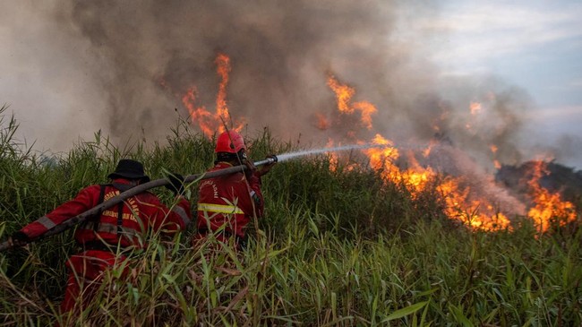 Pemadaman Kebakaran Lahan di Ogan Ilir