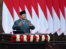 Prabowo Ingin Percepat PLTS Agar Listrik Pulau Terpencil Tak Tergantung Solar