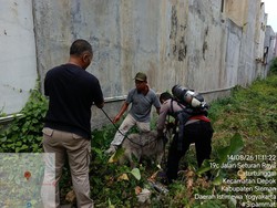 Duh! Siberian Husky Nyemplung Sumur 10 Meter gegara Ngejar Kucing di Sleman