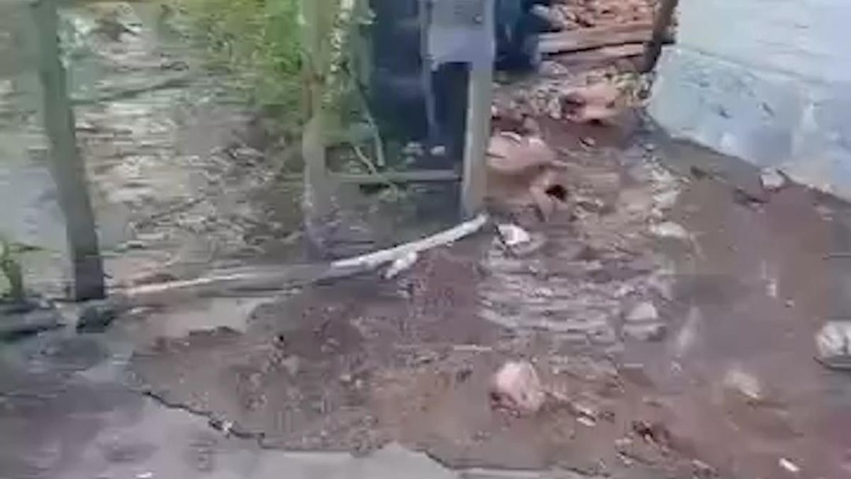 Detik-detik Tsunami Kecil Terjang Selayar Usai Gempa NTT