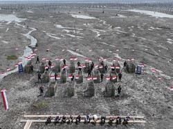 Ekspedisi Merah Putih Polda Riau Pulihkan 1.200 Ha Pesisir Inhil yang Terdampak Abrasi