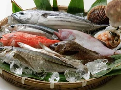 Wajib Coba! 5 Ikan Jepang Ini Hanya Ada Saat Musim Panas