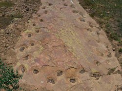 Jejak Kaki Dinosaurus 150 Juta Tahun Ungkap Dugaan Berjalan Pincang