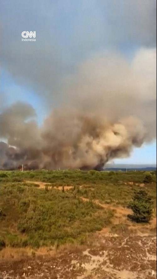 Kebakaran Hutan Landa Kroasia, Langit Dipenuhi Asap Tebal