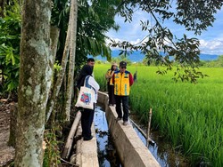 Musim Tanam Tiba, Nagan Raya Manfaatkan Dana TKD untuk Rehabilitasi Sawah