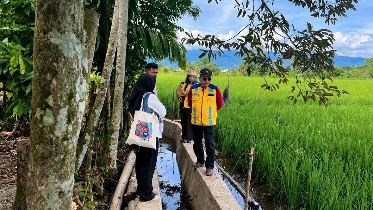 Jelang Musim Tanam, Nagan Raya Optimalkan TKD untuk Rehabilitasi Sawah